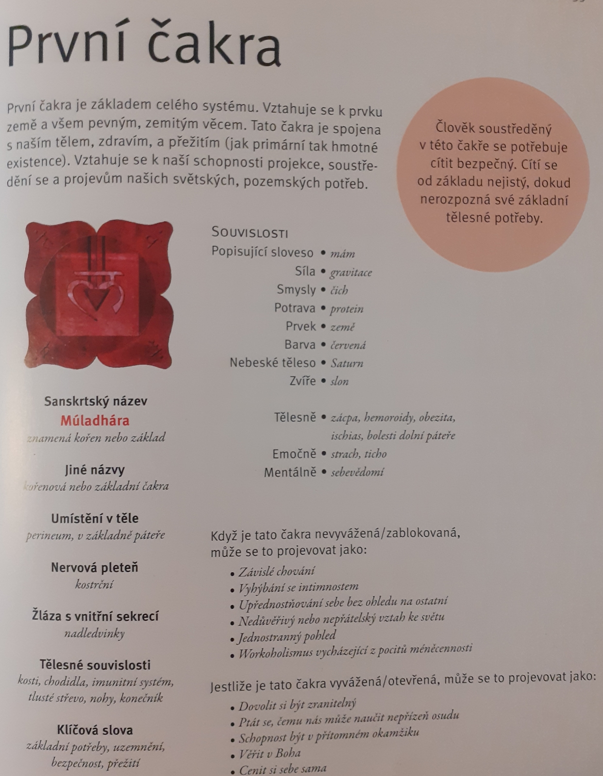 prvni cakra joga vladka.jpg